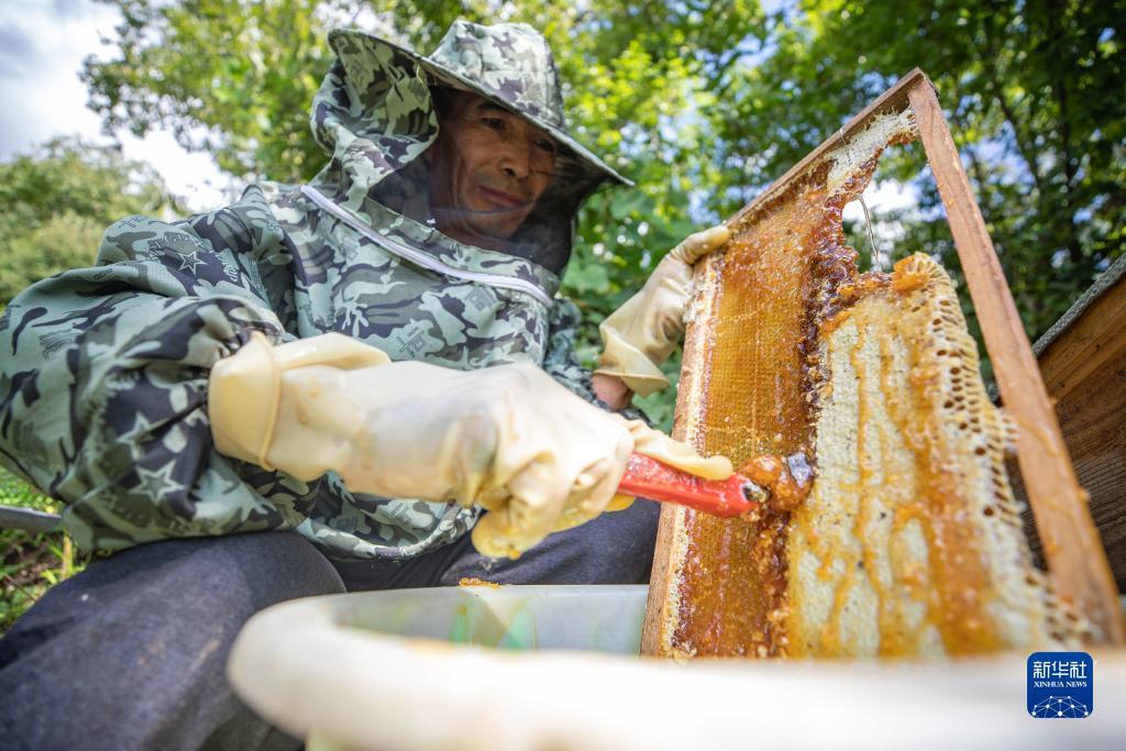 斗牛下载最新版